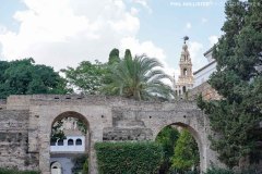 Alcazar_Sevilla-12