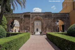 Alcazar_Sevilla-2