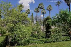 Alcazar_Sevilla-3