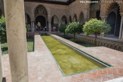Alcazar_Sevilla-41