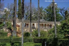 Alcazar_Sevilla-51