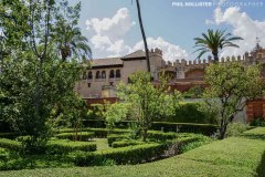 Alcazar_Sevilla-55