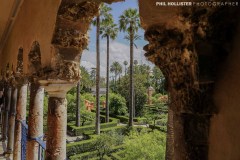 Alcazar_Sevilla-85