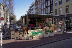 Amsterdam-37
