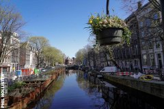 Amsterdam-41