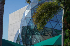 1_Dali_Museum_StPete-10