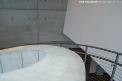 1_Dali_Museum_StPete-133