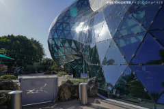 1_Dali_Museum_StPete-14