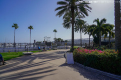 1_Dali_Museum_StPete-2