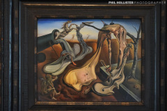 1_Dali_Museum_StPete-32