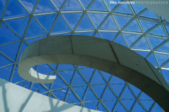 1_Dali_Museum_StPete-35