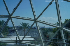 1_Dali_Museum_StPete-48