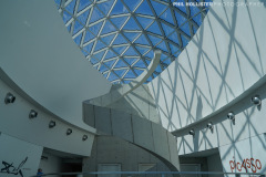 1_Dali_Museum_StPete-59