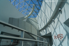 1_Dali_Museum_StPete-61
