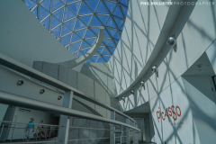 1_Dali_Museum_StPete-62