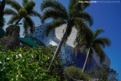 1_Dali_Museum_StPete-7