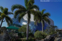 1_Dali_Museum_StPete-8