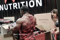 Fibo_2017_unten-6444