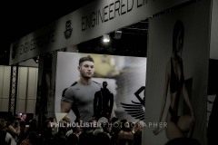Fibo_2017_unten-6633