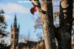 Glasgow_2018-3838