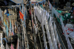 Indien_Mumbaii_2024-41