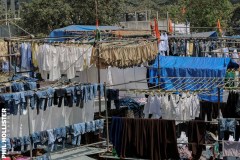 Indien_Mumbaii_2024-42