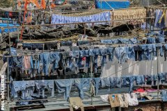 Indien_Mumbaii_2024-43