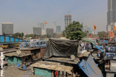 Indien_Mumbaii_2024-46