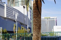 Las_Vegas_2023-34