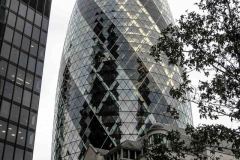 London_2019-5403