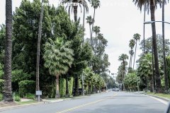 Los_Angeles-5173