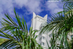 Miami_Daylight_2022-110