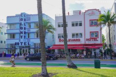 Miami_Daylight_2022-157