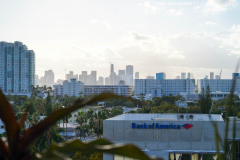 Miami_Daylight_2022-169