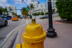 Miami_Daylight_2022-36