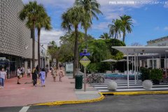 Miami_Daylight_2022-55