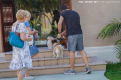 Miami_Daylight_2022-93