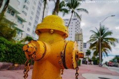 Miami_Daylight_2022-31