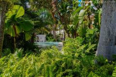 Miami_Daylight_2022-77