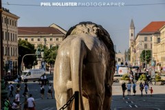 Muenchen_2019-1314
