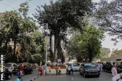 Indien_Mumbaii_2024-125