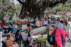 Indien_Mumbaii_2024-130