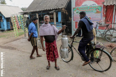 Indien_Krokodile_Budhha_Tempelruine_2024-1