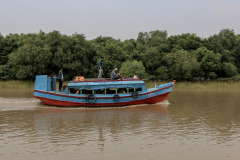 Indien_Krokodile_Budhha_Tempelruine_2024-15