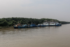 Indien_Krokodile_Budhha_Tempelruine_2024-16