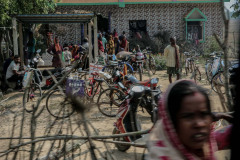 Indien_Krokodile_Budhha_Tempelruine_2024-19