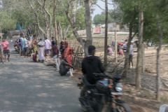 Indien_Krokodile_Budhha_Tempelruine_2024-20