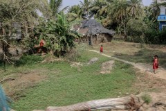 Indien_Krokodile_Budhha_Tempelruine_2024-21