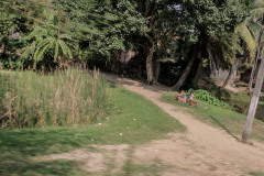 Indien_Krokodile_Budhha_Tempelruine_2024-23