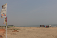 Indien_Krokodile_Budhha_Tempelruine_2024-24